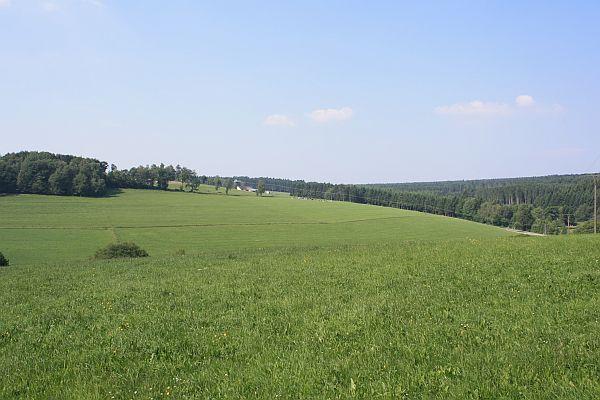 Graslandschaft