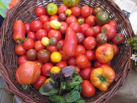 Tomaten bunt Korb Tomaten bunt Korb