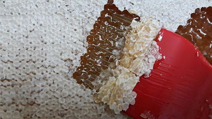 Honigernte Entdeckungsgabel