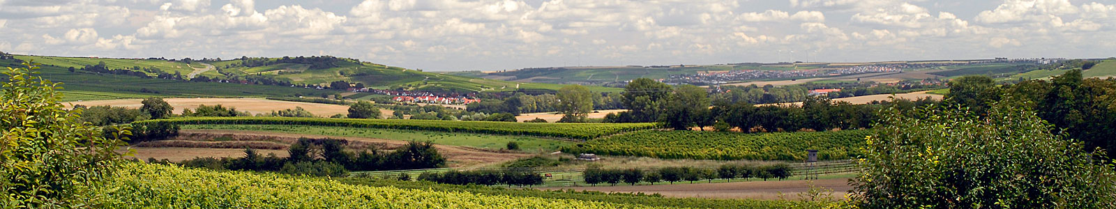 Rheinhessische Hügellandschaft mit Dörfern im Hintergrund © Dienstleistungszentren Ländlicher Raum